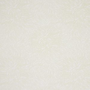 Esra Limestone